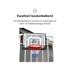 Pegasi basketbalbord Fun