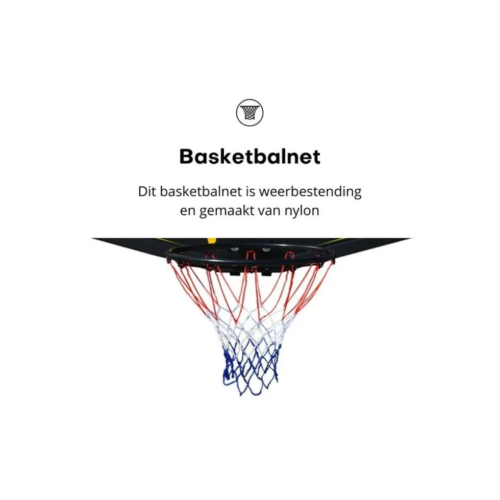 Pegasi basketbalbord Sport