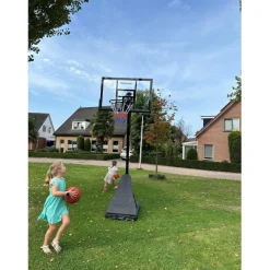Pegasi basketbalpaal Home Pro