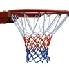 Pegasi verende basketbalring Pro