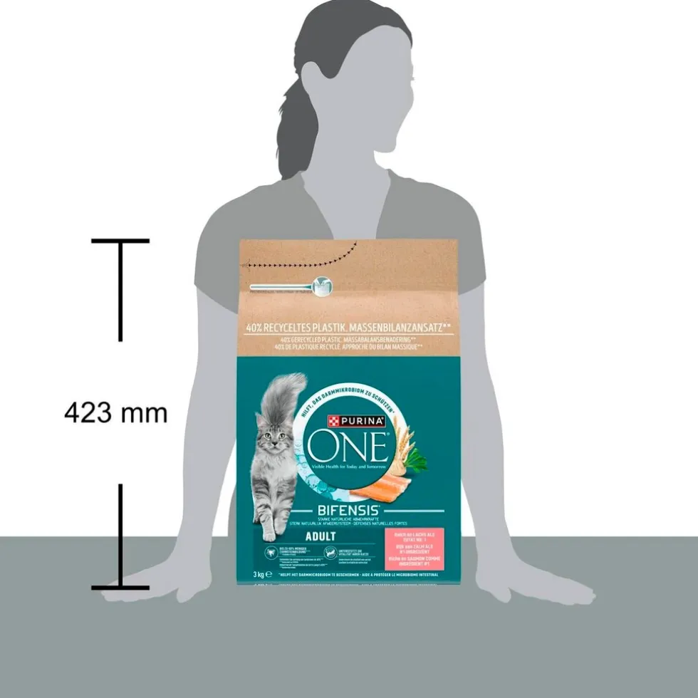 Purina One Bifensis Adult Droog Kattenvoer met Zalm