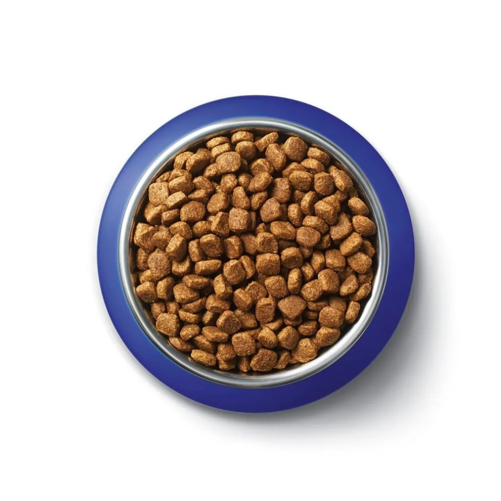 Purina One Bifensis Adult Droog Kattenvoer met Zalm