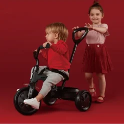 Qplay Ant Driewieler met duwstang