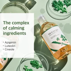 Round Lab Mugwort Toner