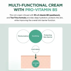 SKIN1004 Madagascar Centella Tea-Trica B5 Cream