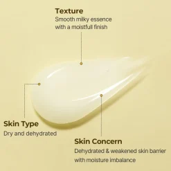 Torriden SOLID-IN All Day Essence