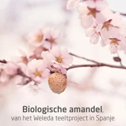 Weleda Zwangerschapsolie