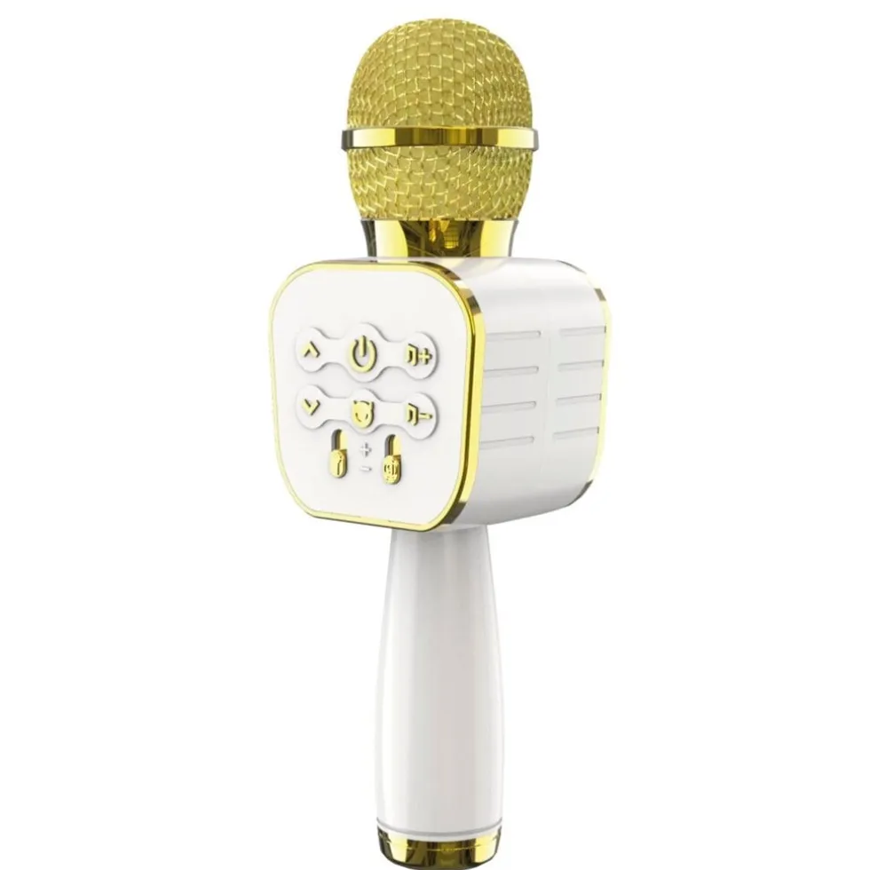 Wireless Karaoke Microfoon