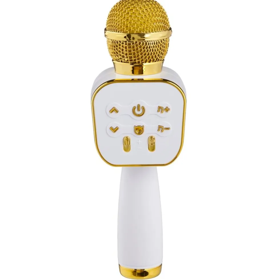 Wireless Karaoke Microfoon